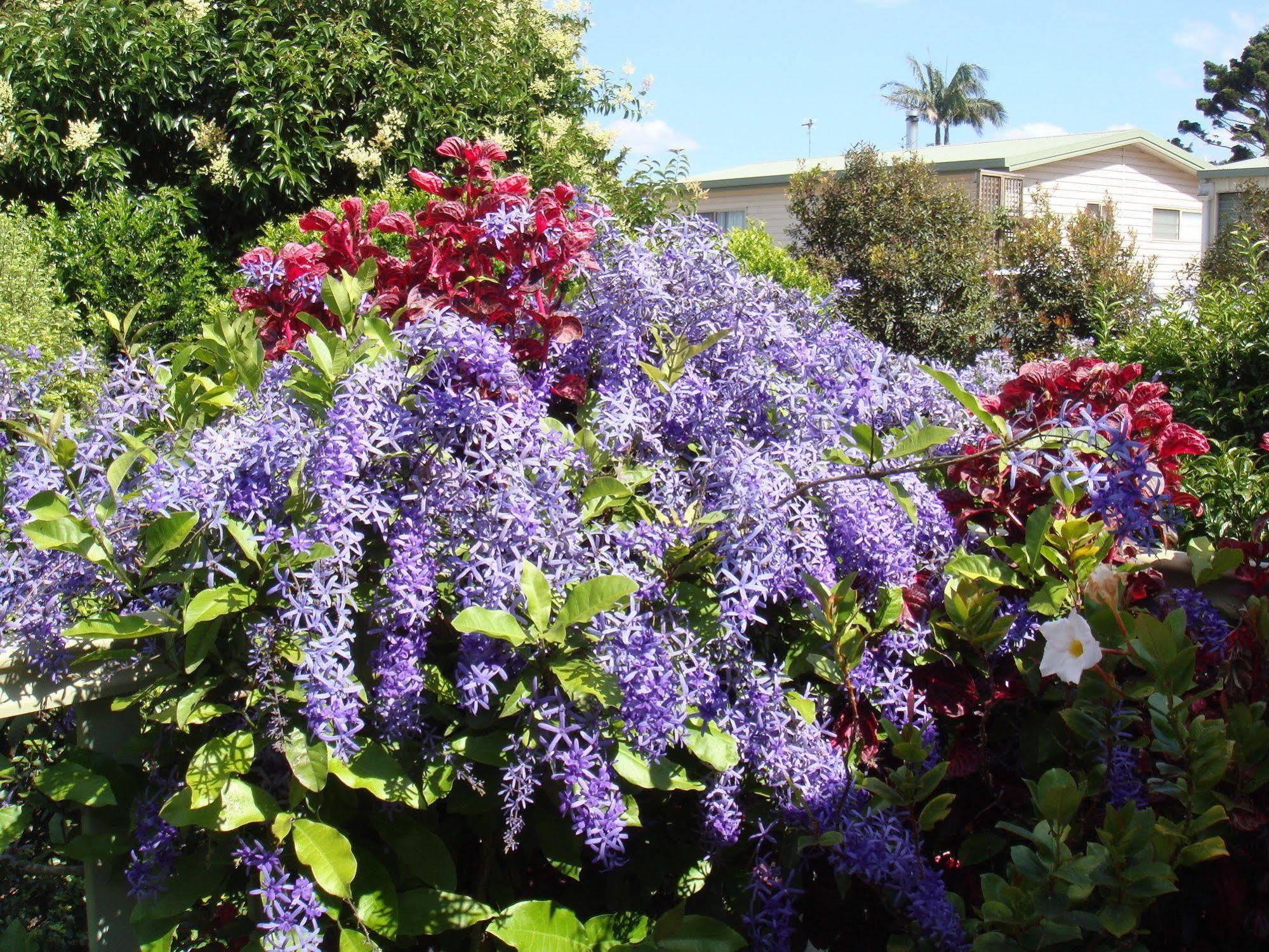 Camelot Boutique Accommodation Mount Tamborine Exterior foto