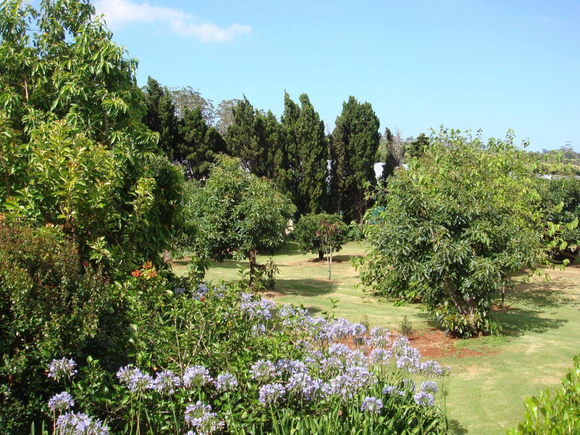 Camelot Boutique Accommodation Mount Tamborine Exterior foto